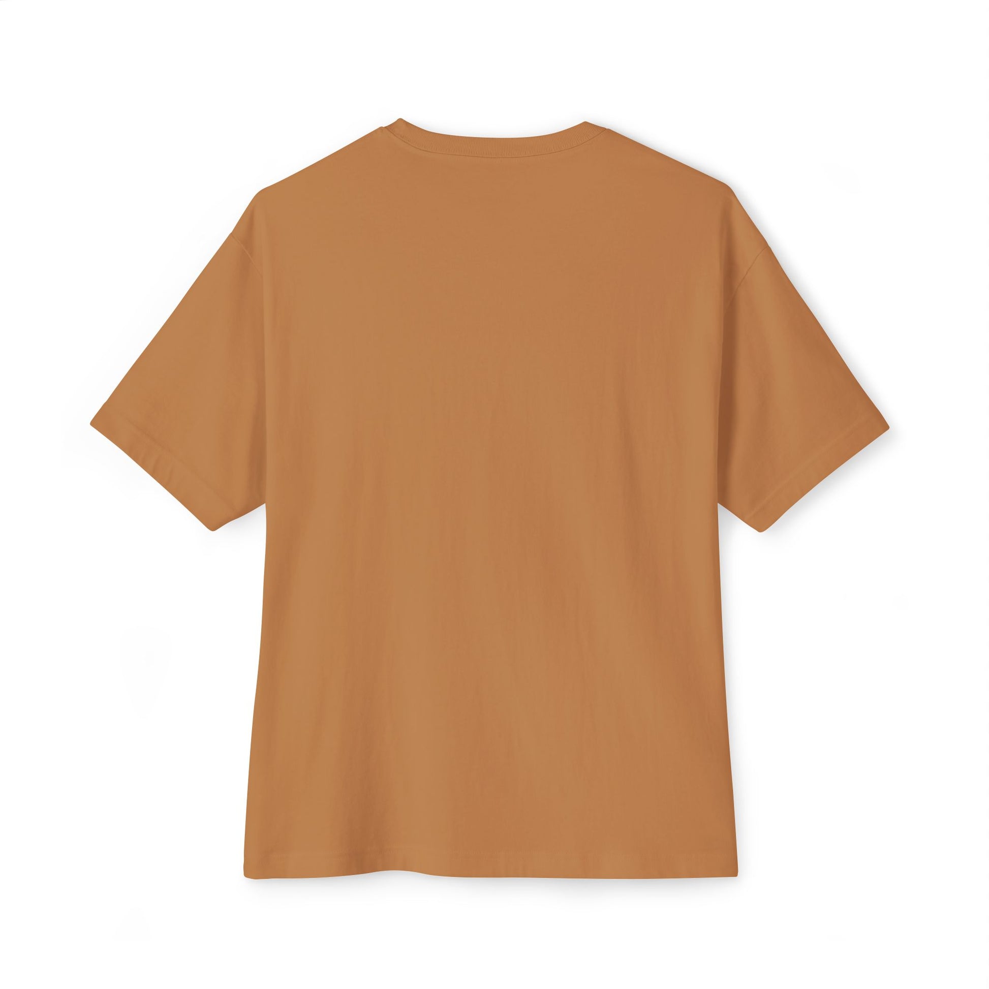 women brown drop shoulder t-shirt on a white background | AH Urban Wear PK